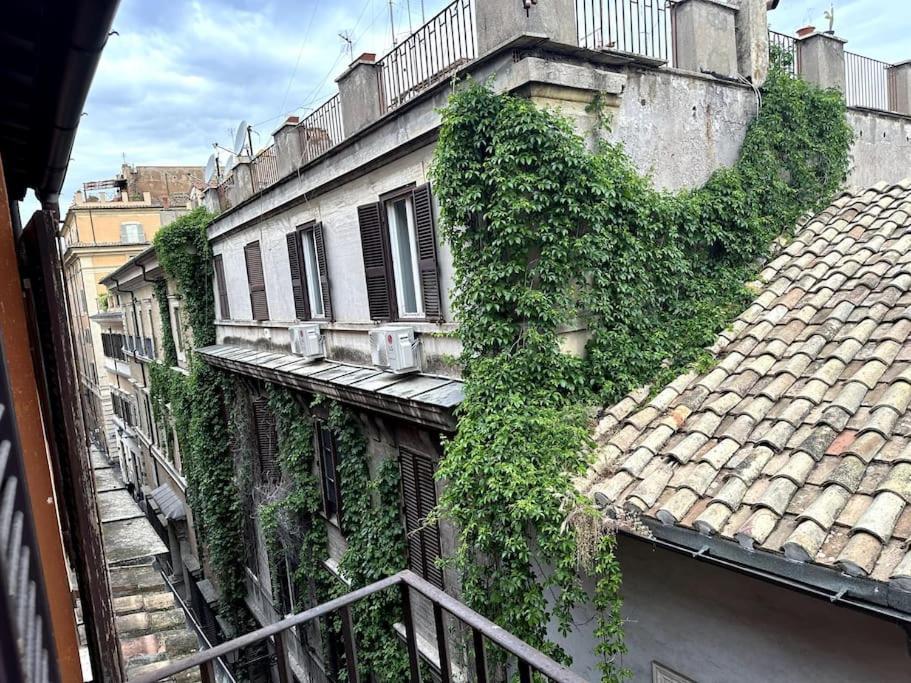Apartamento Rooftops View Between Pantheon And Navona *